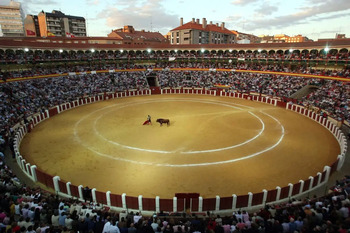 Vox desmiente a VTLP sobre la subvención a los toros