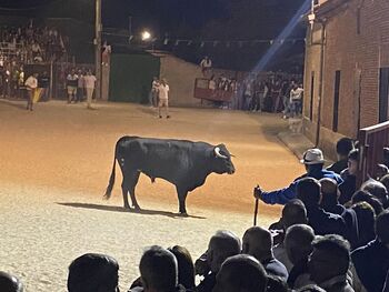 Encierros, peñas y paella por el patrón de Bobadilla