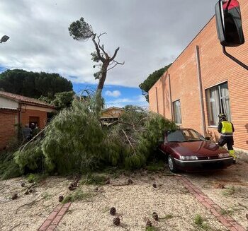 Los bomberos realizan 50 salidas en la capital y la provincia