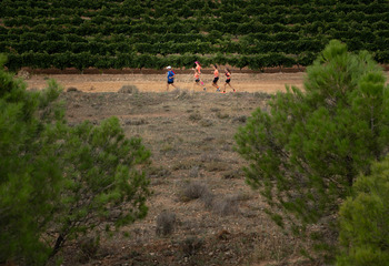 La Ribera Run Experience agota dorsales en dos distancias