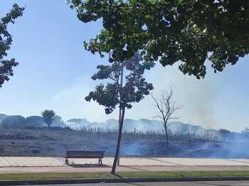 Los Bomberos sofocan un incendio en Pinar de Jalón