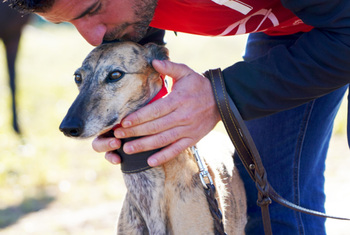 El Club Cerros Verdes conquista la Copa de Galgos en Campo