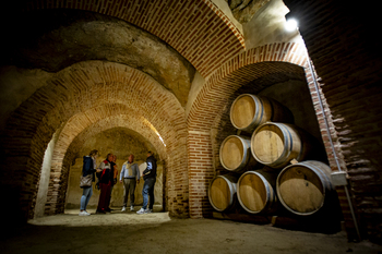 Cultura del vino subterránea