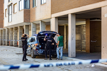 La mujer hallada muerta presentaba heridas de arma blanca