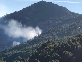 Estabilizado el incendio forestal en San Esteban del Valle