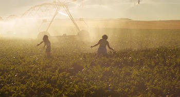 La película vallisoletana 'Gallo Rojo' llega a los cines