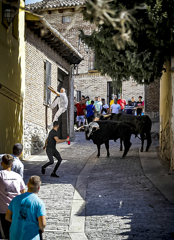 Cuatro días de encierros en las fiestas de Simancas