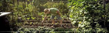 La agricultura ecológica se dispara con más de 20.000 ha