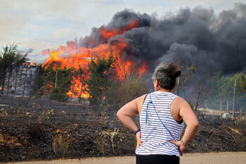 Nivel 2 en el incendio de Aldea de la Valdoncina (León)