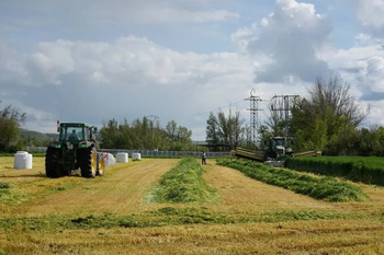 Lanzan ayudas de 15.000 € a emprendedores de Tierra de Campos