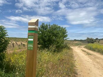 La Seca y Tordesillas marchan por Valencia