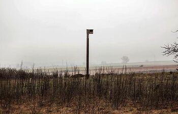 Labrar el terreno para destruir los nidos de topillo